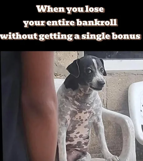 50 Funny Memes About Gambling 12 Bankroll? What Bankroll?